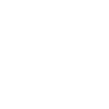 an icon of a clock with speed lines and a checkmark to signify speed and quickness